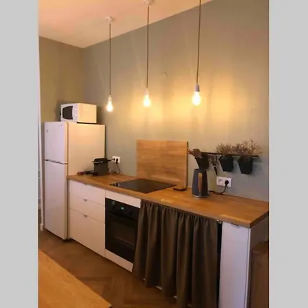 Apartment 5 Min Place Stanislas. De Caractere *